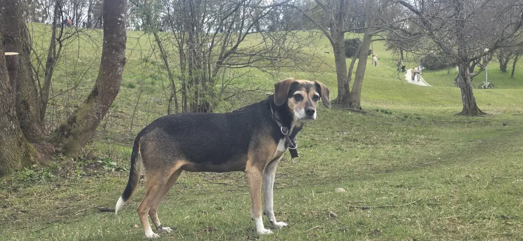 Bild von Lilli