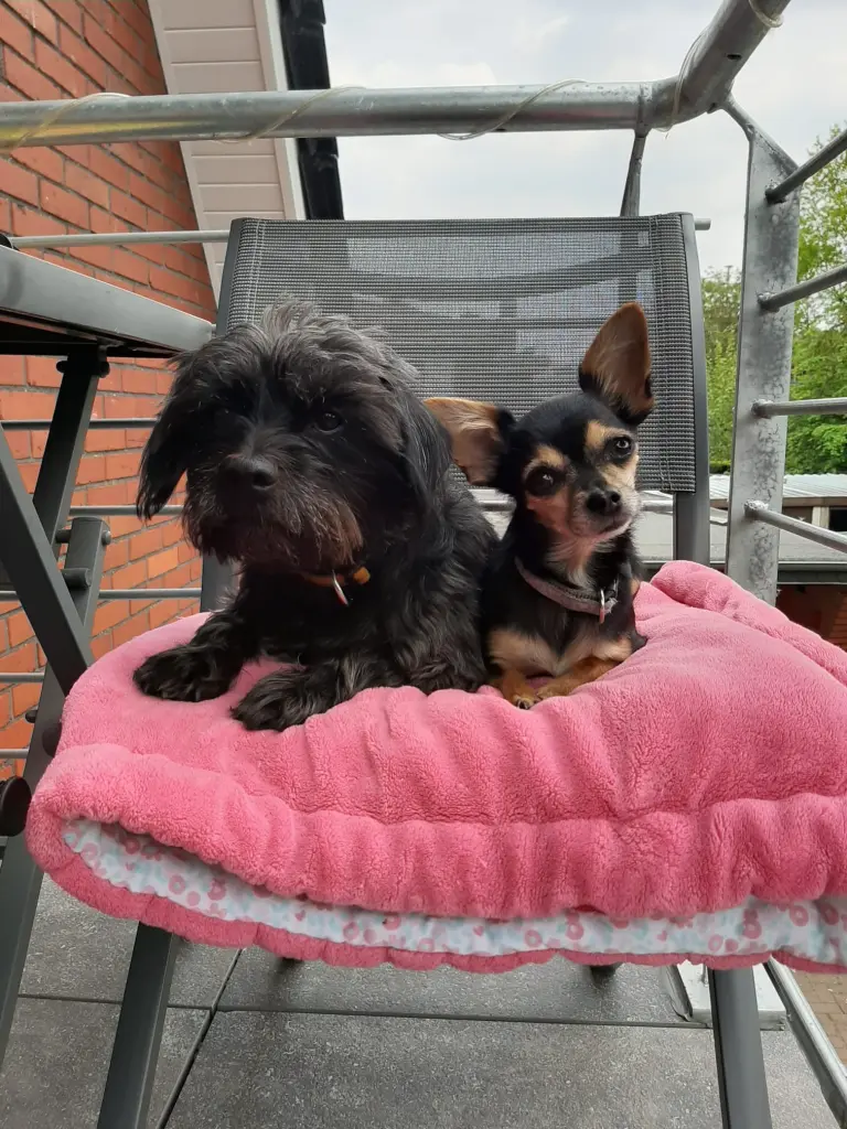 Mit ihrer besten Freundin fast 16j. Ist Molly