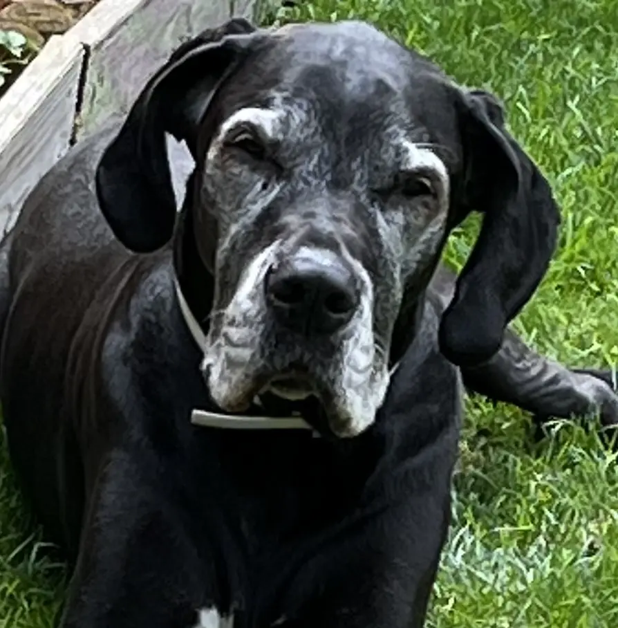 Bild von Luisa