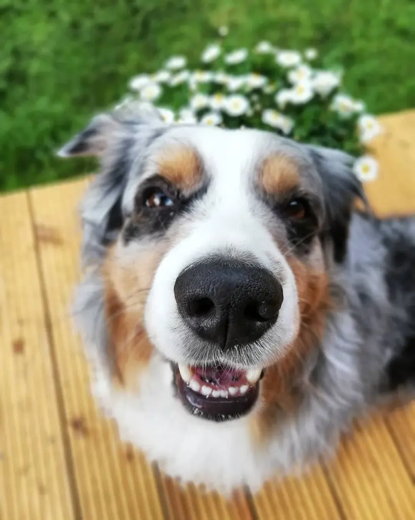 Image from Eddie