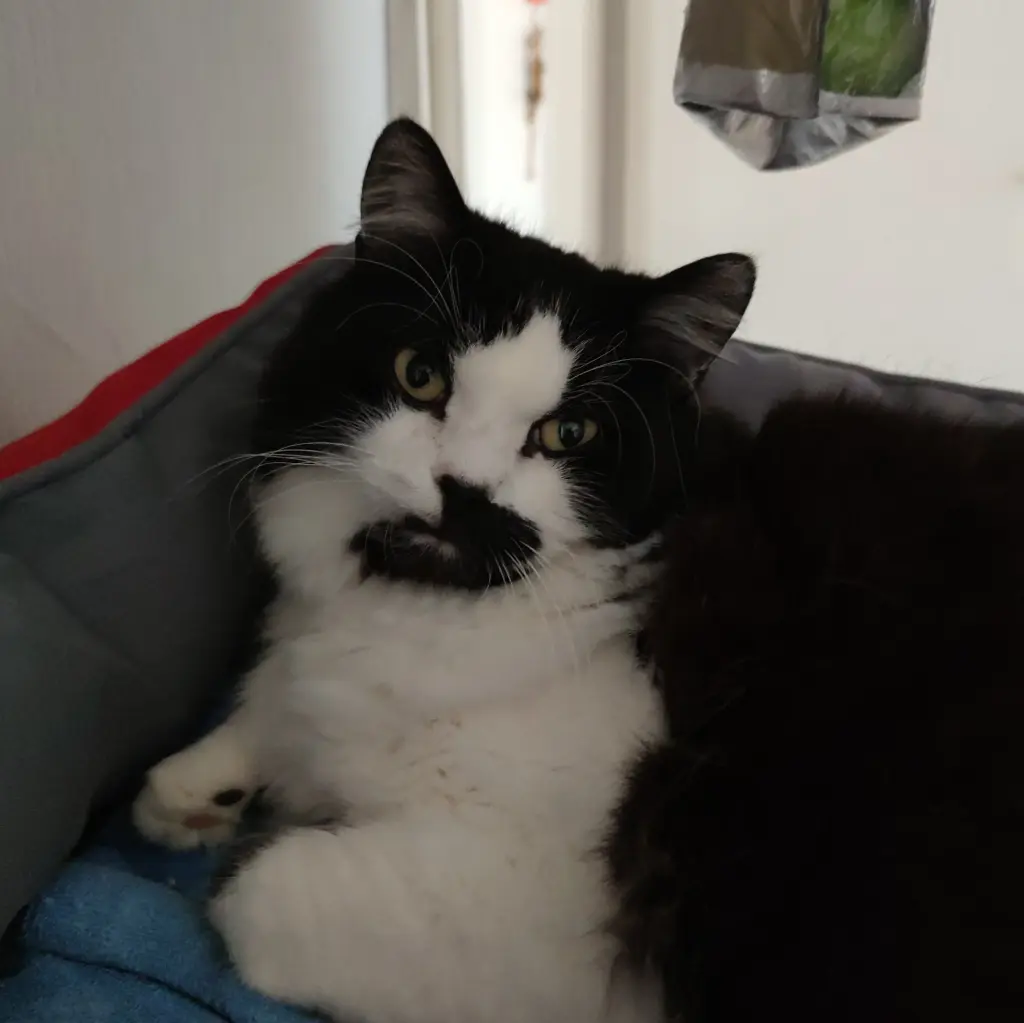 Bild von Max