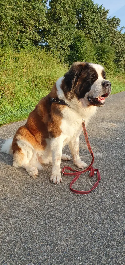 Bild von Emma