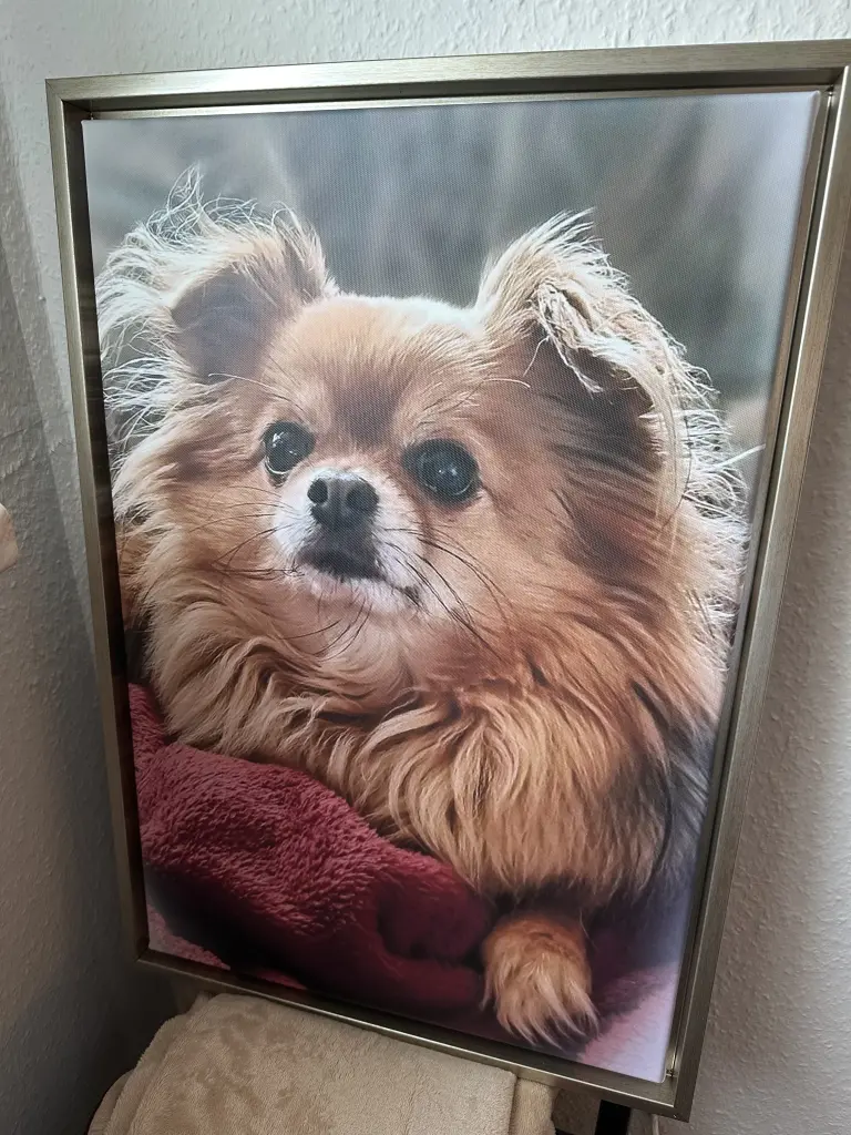 Bild von Browny