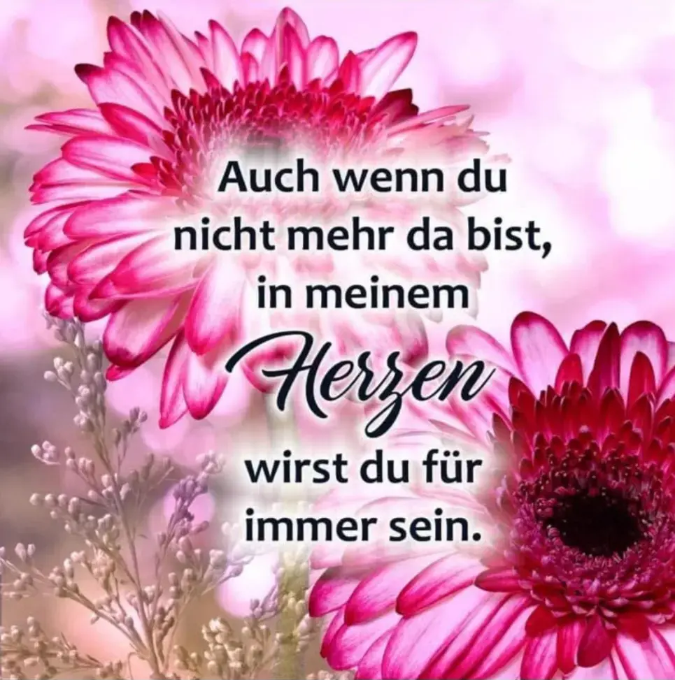 Condolence image of Konny mit Piccolino-Fly tief im ❤️