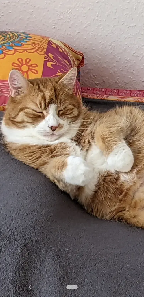 Bild von Freddy