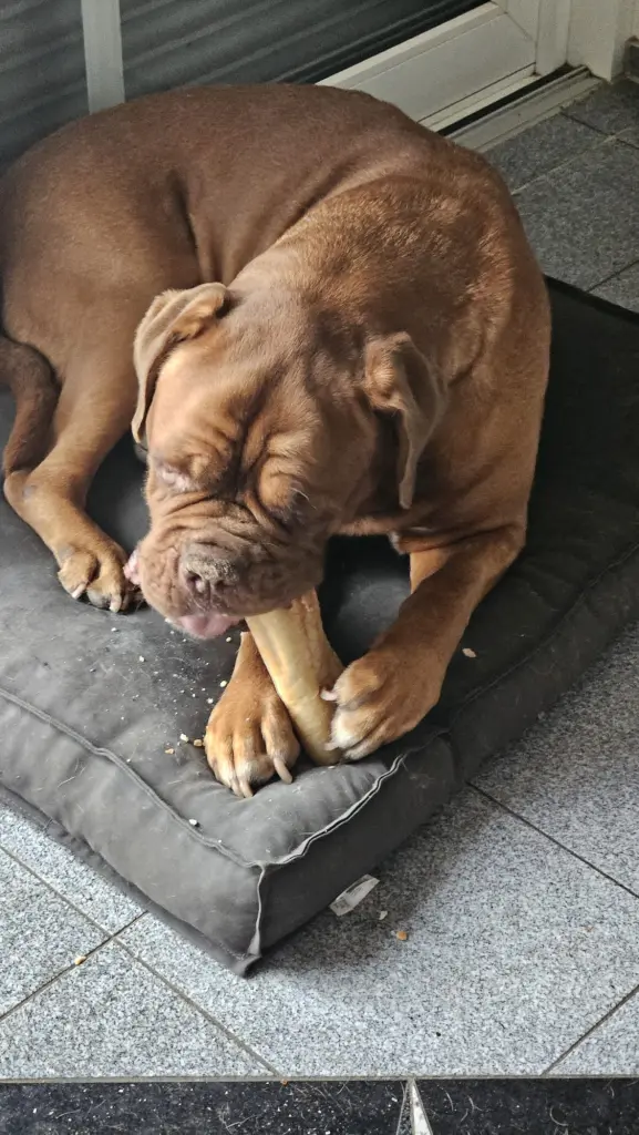 Bild von Kymba