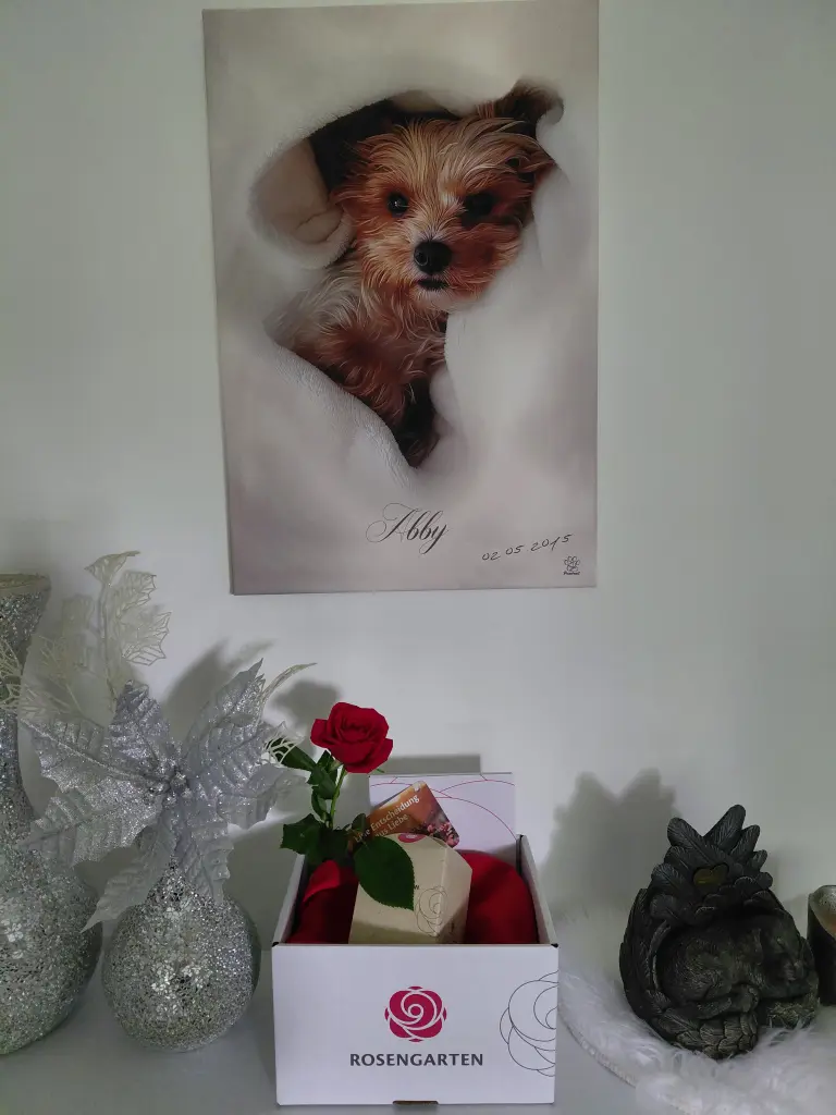 Bild von Abby