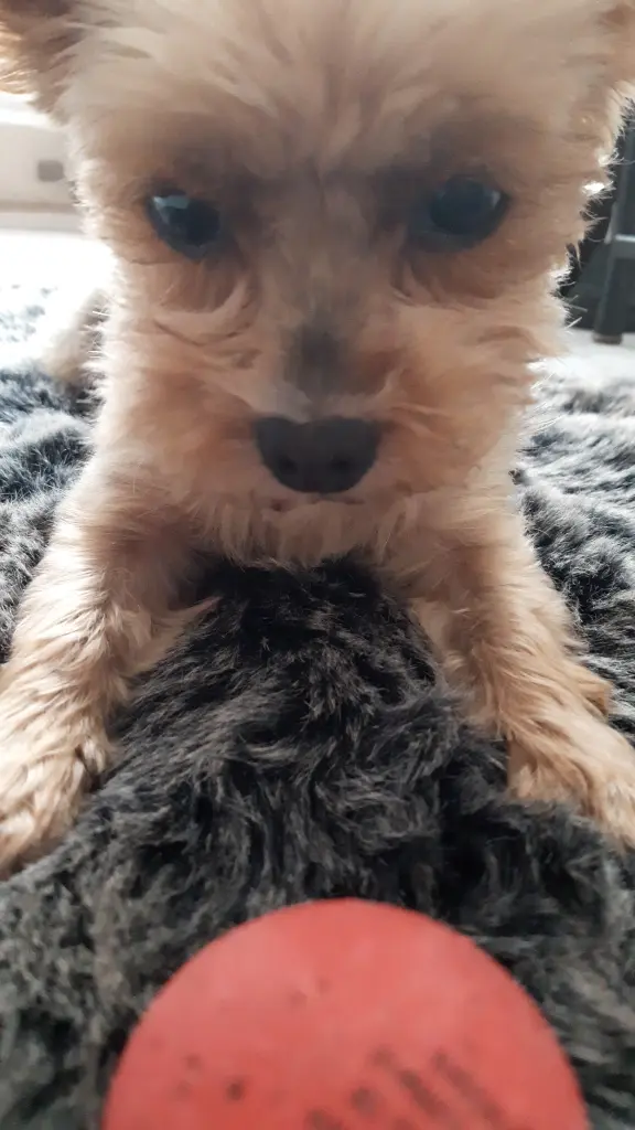 Bild von Abby