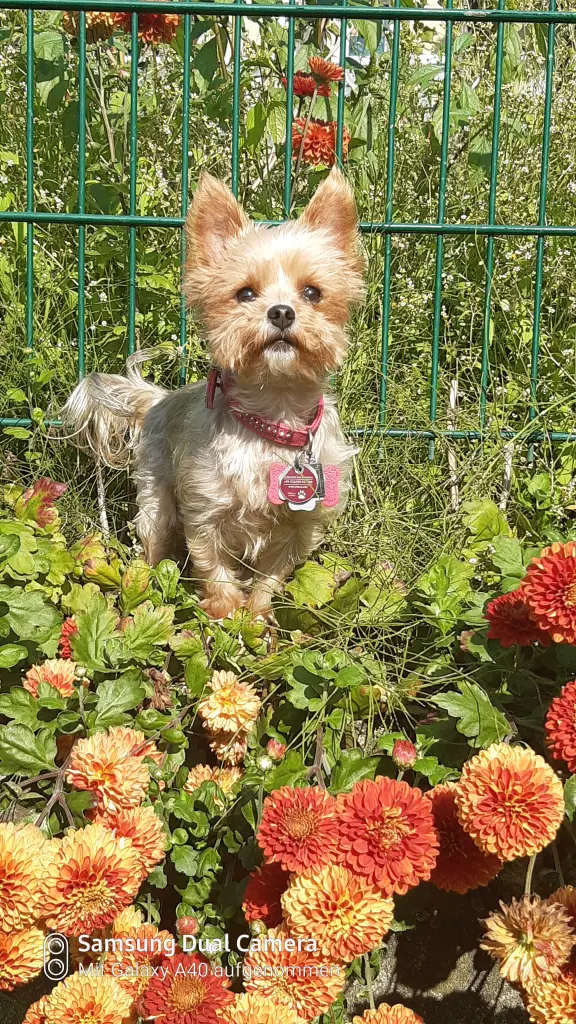 Bild von Abby