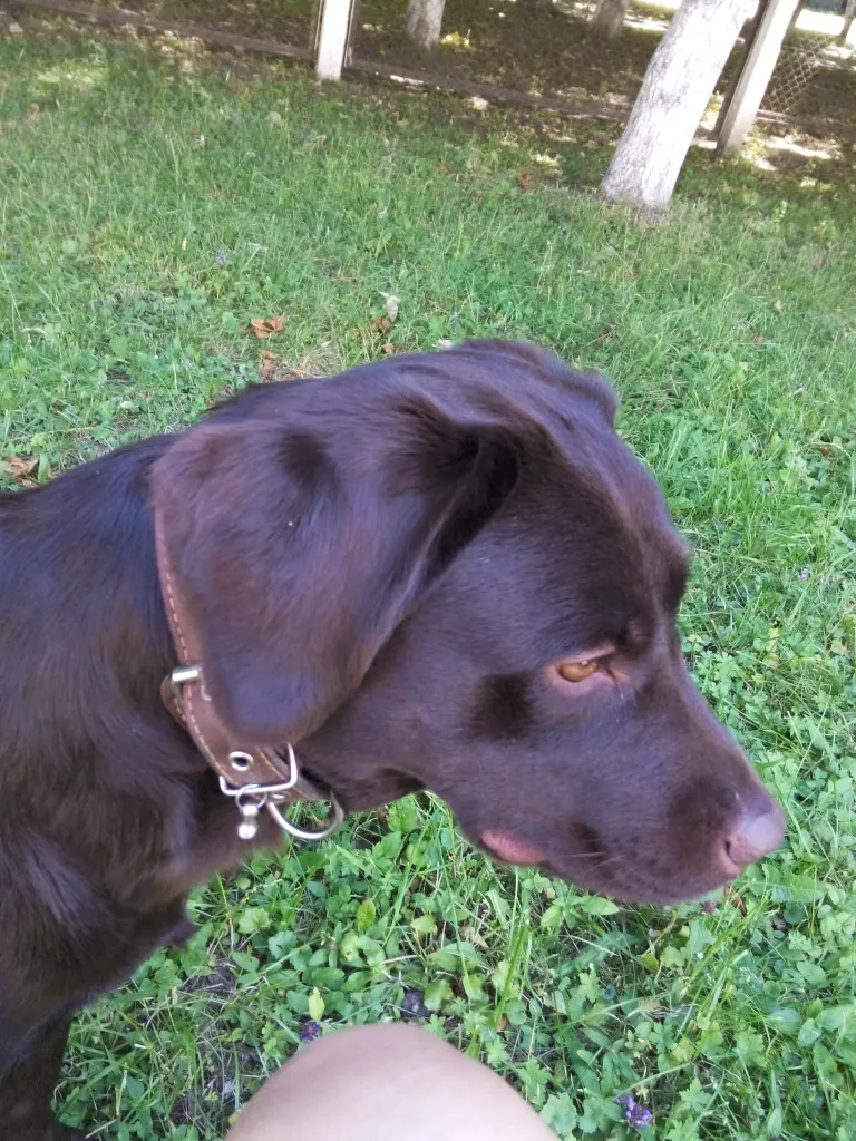 Bild von Berry