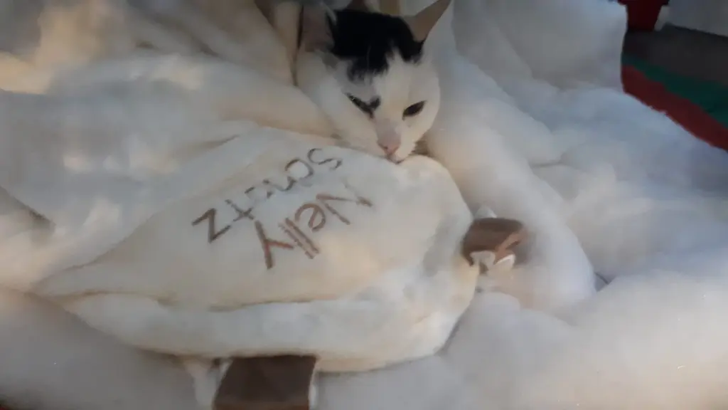 Condolence image of Deine Mama