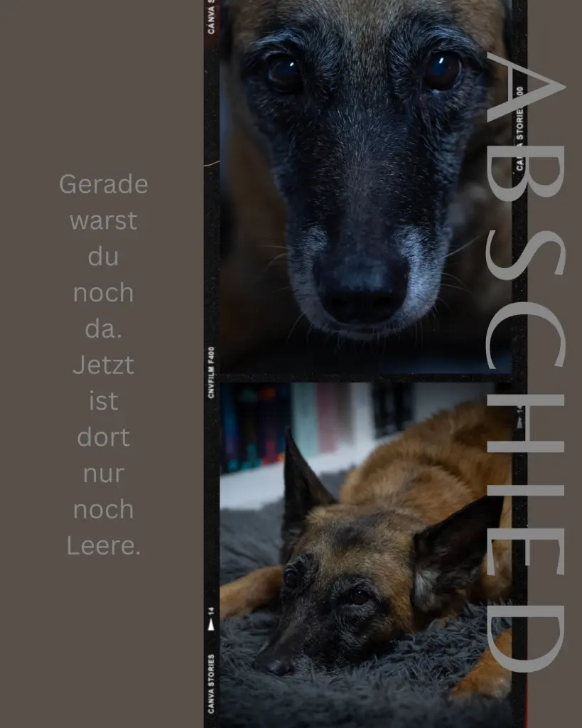 Bild von Atira