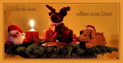 Bild von Das Rosengartenteam