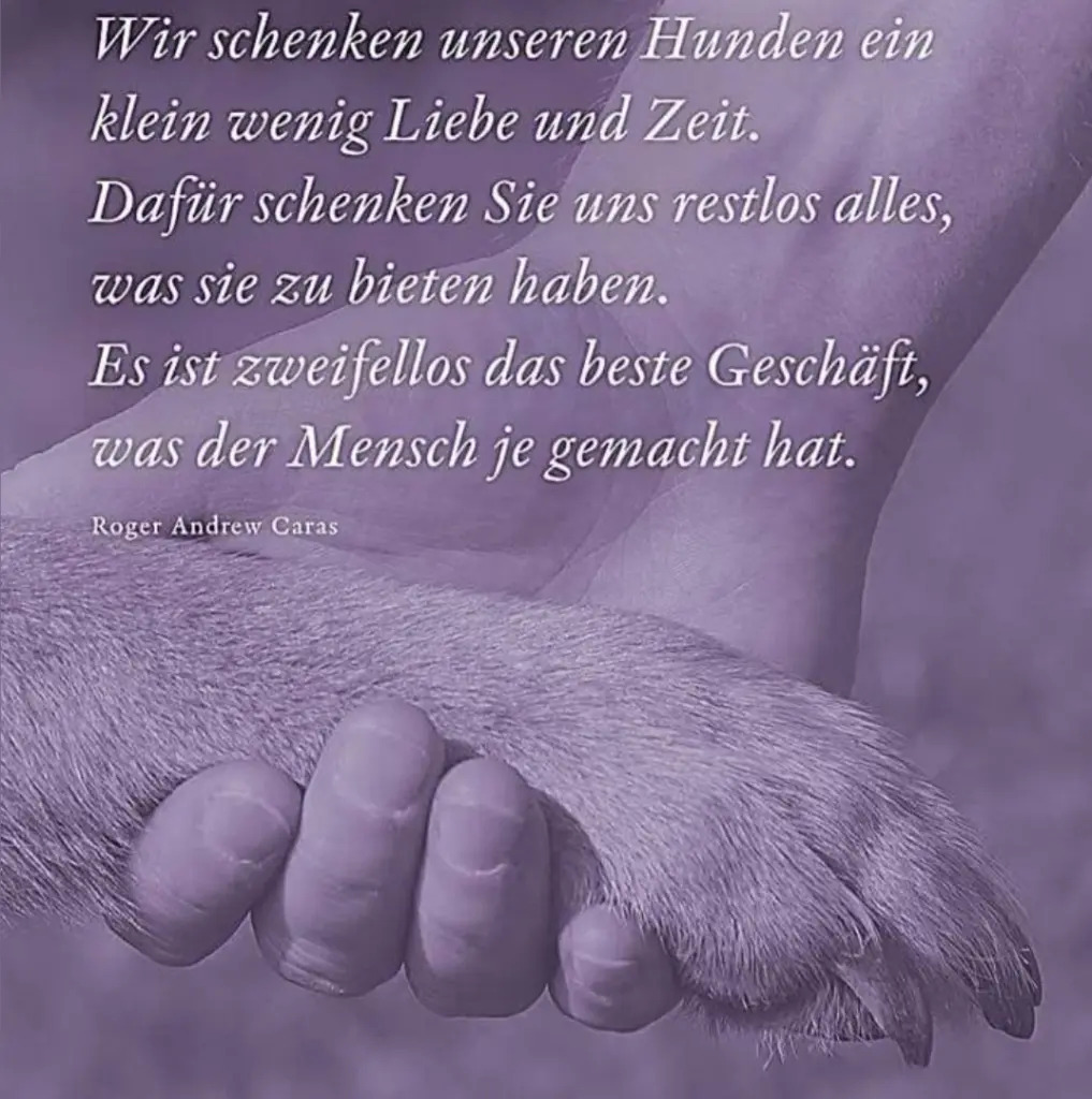 Condolence image of Steffi Vormwald