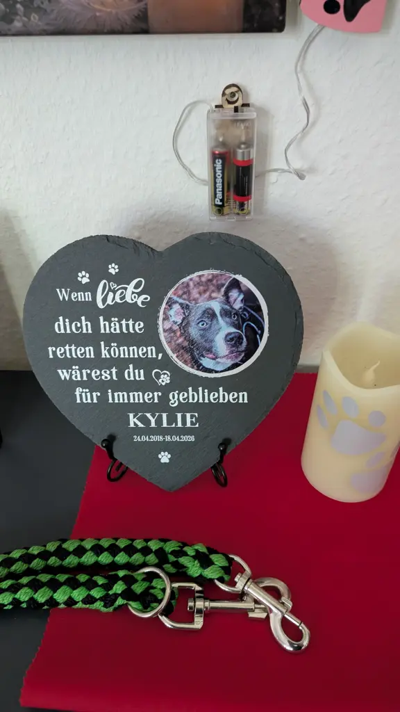 Bild von Kylie