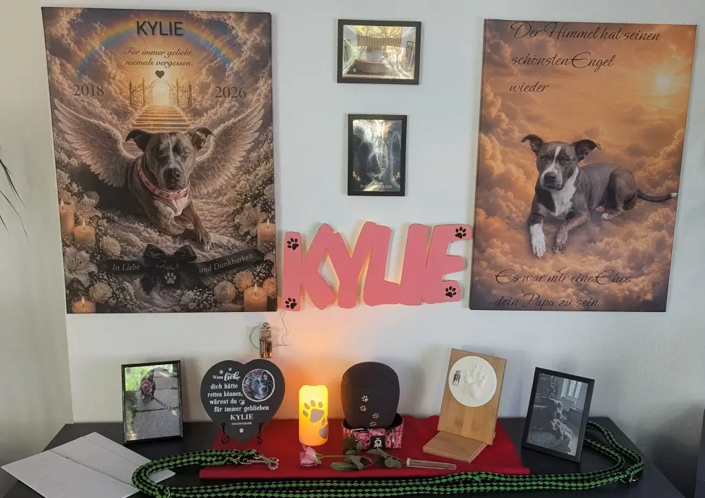 Image from Kylie