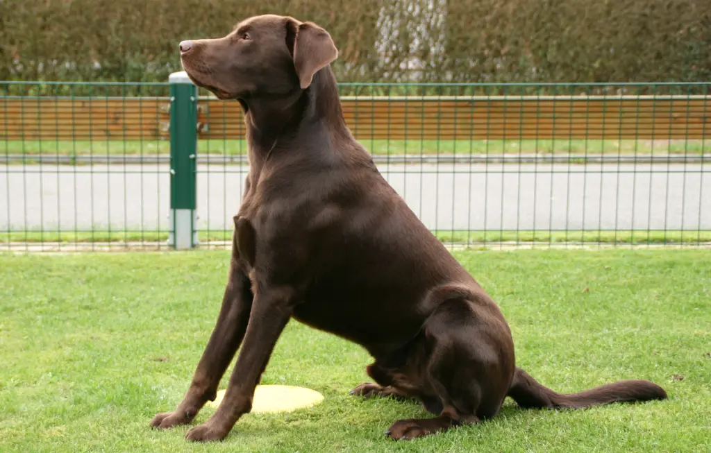 Bild von Henri