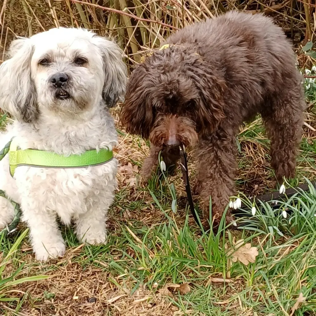 Condolence image of Choky und Petra Müller