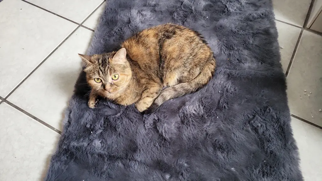 Bild von Lucy