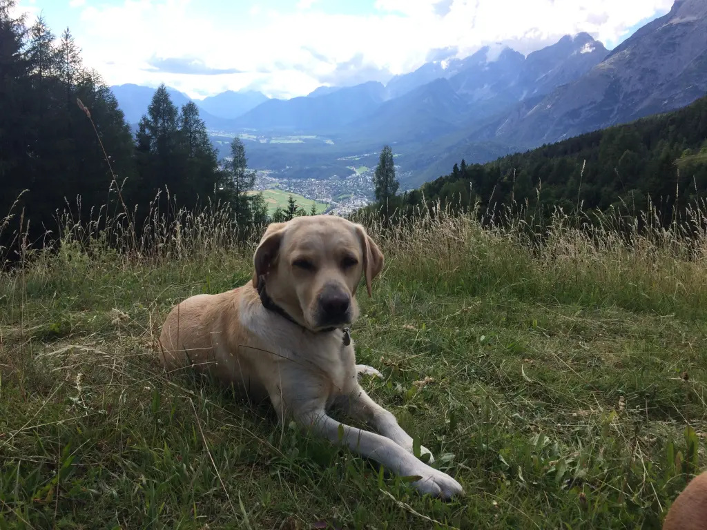 Image from Antonia