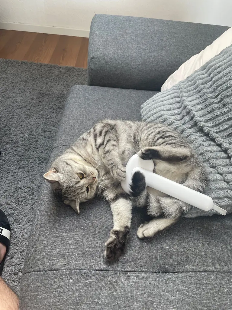 Image from Loki