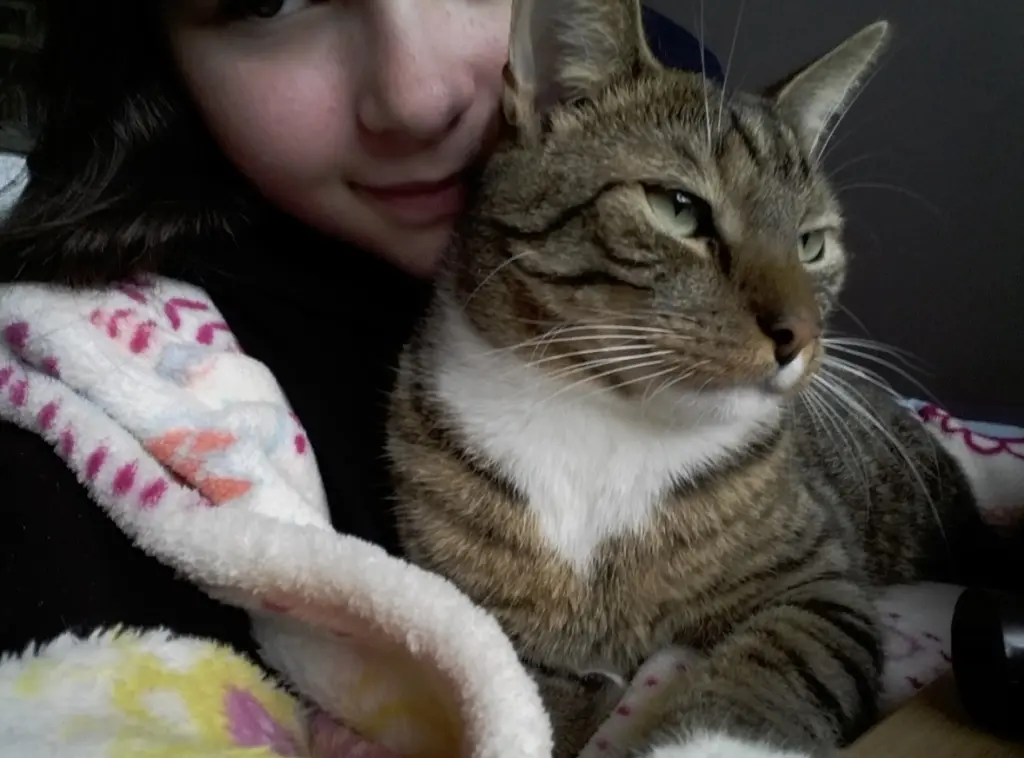 Bild von Tommy