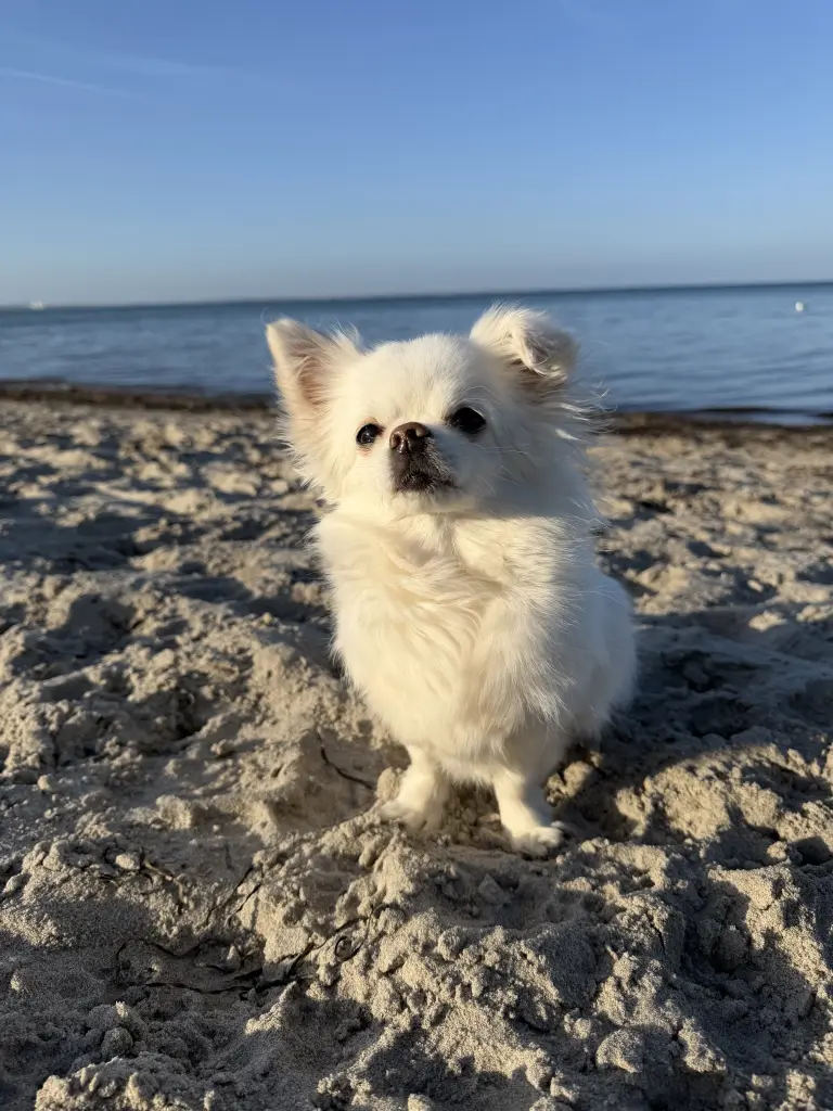 Bild von Bella
