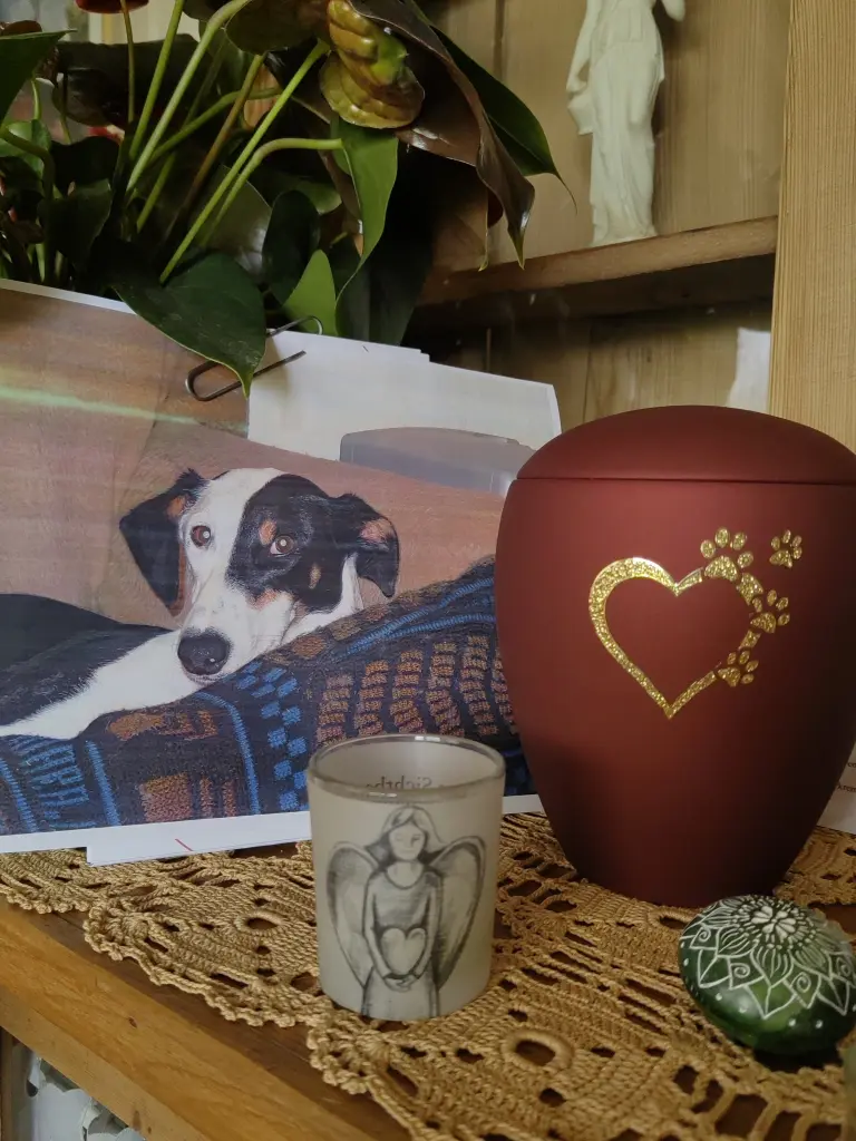 Condolence image of Evi