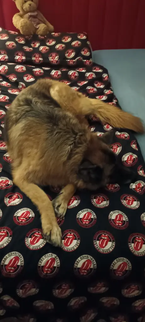 Paula im Bett bei mir