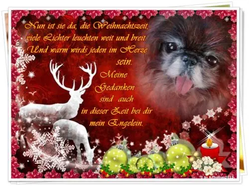 Bild von mein Sina-Engelchen