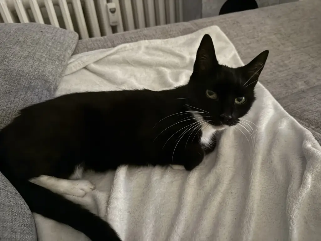 Mausi, unser Sonnenschein.