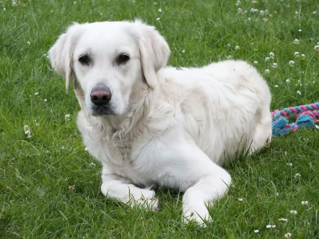 Bild von Maja