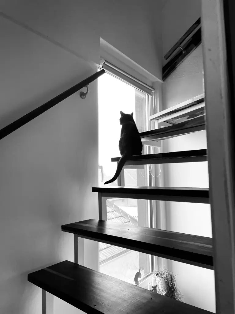 Image from Milk
