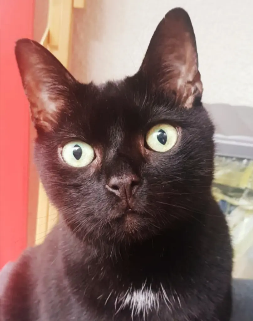 Image from Milow