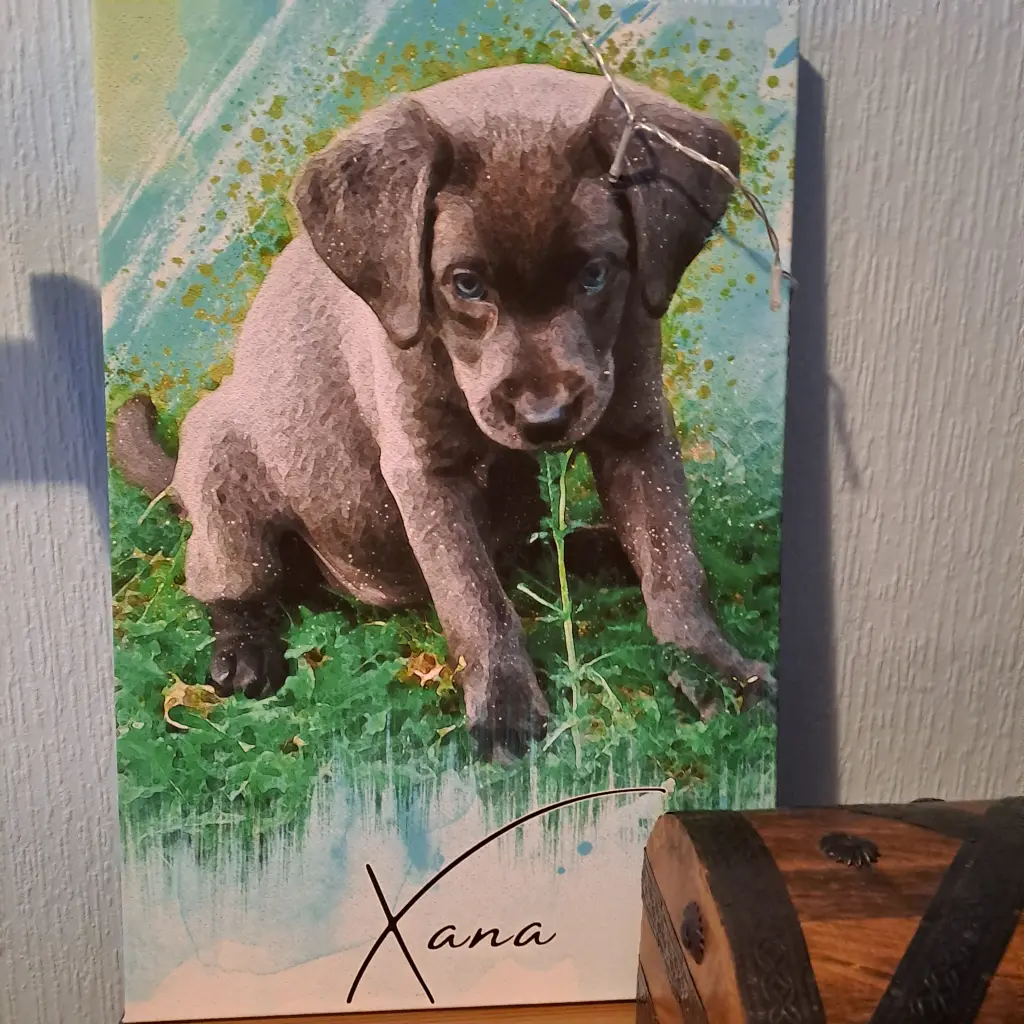 Image from Xana