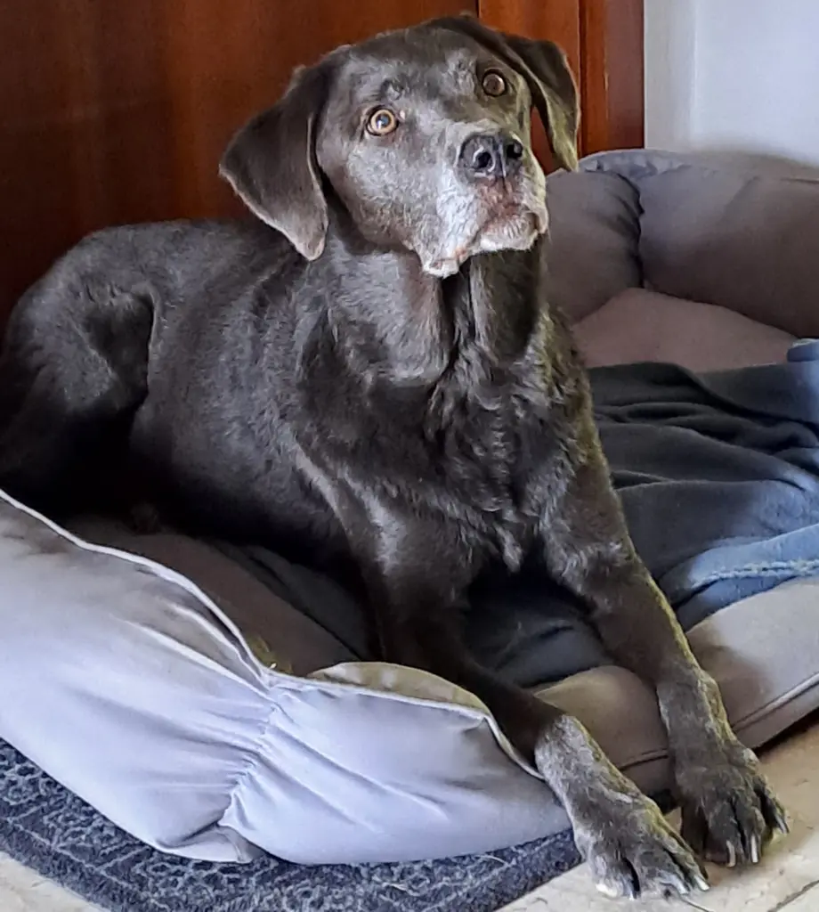 Futter? 😘