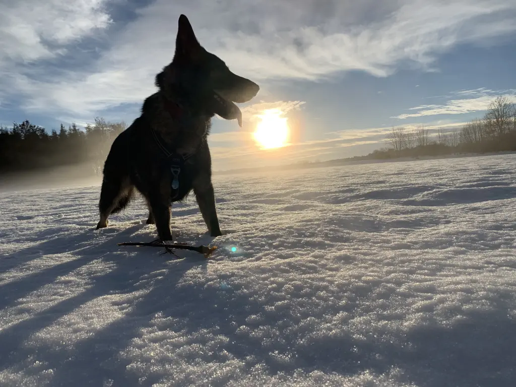 Winter