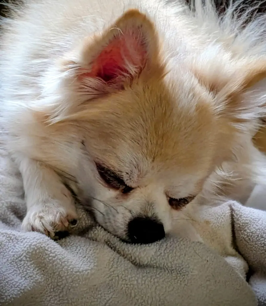 Condolence image of Kevin