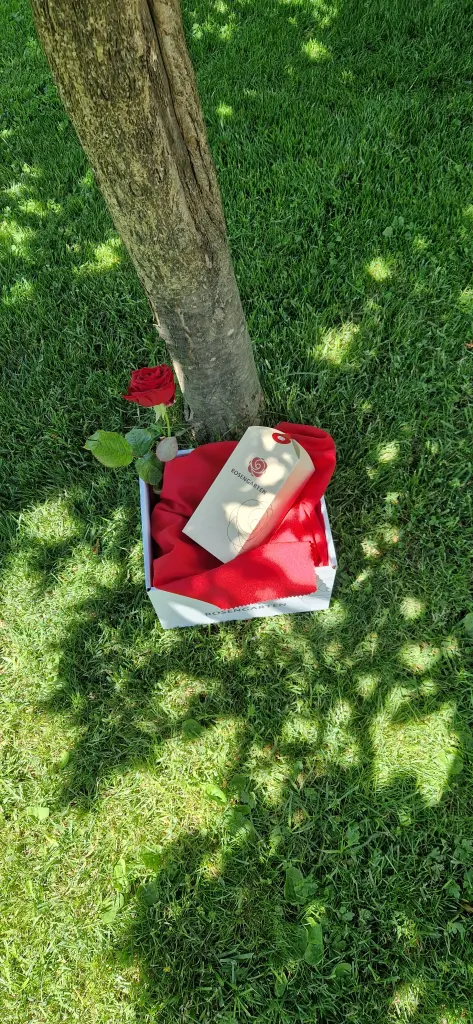 Noch einmal unter deinem geliebten Baum