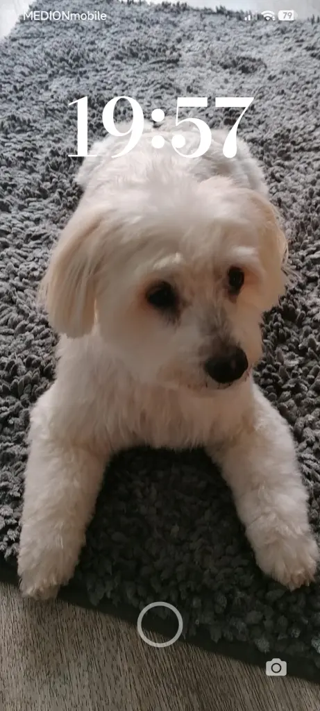 Bild von Lana