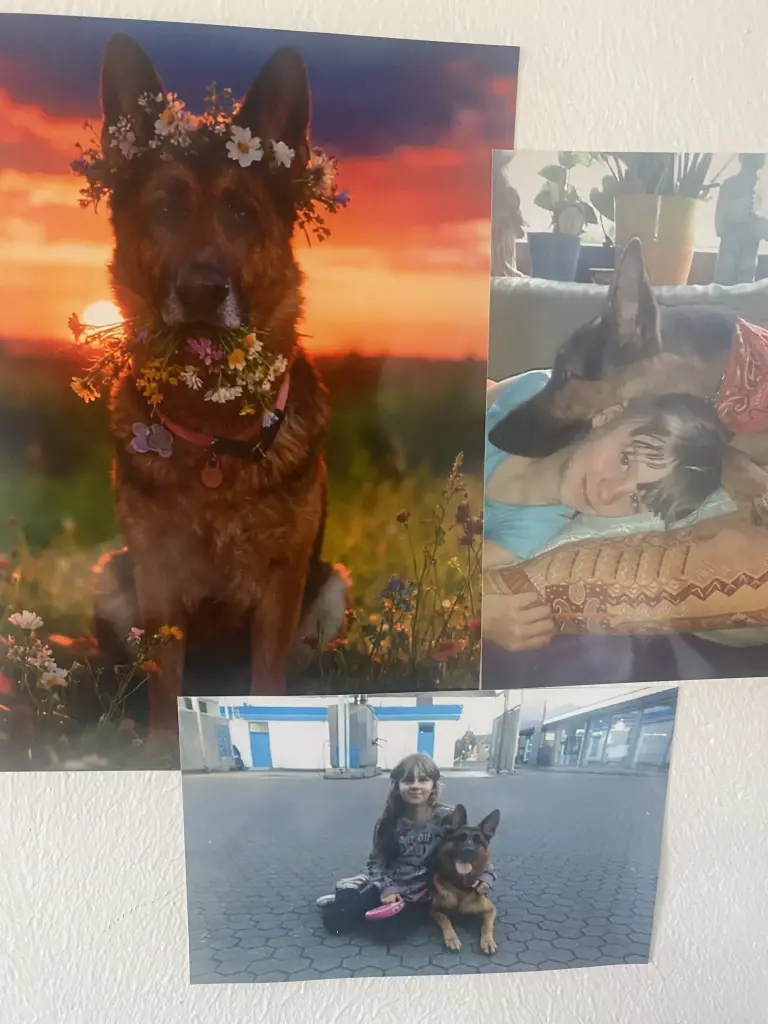 Condolence image of Natalie Martach