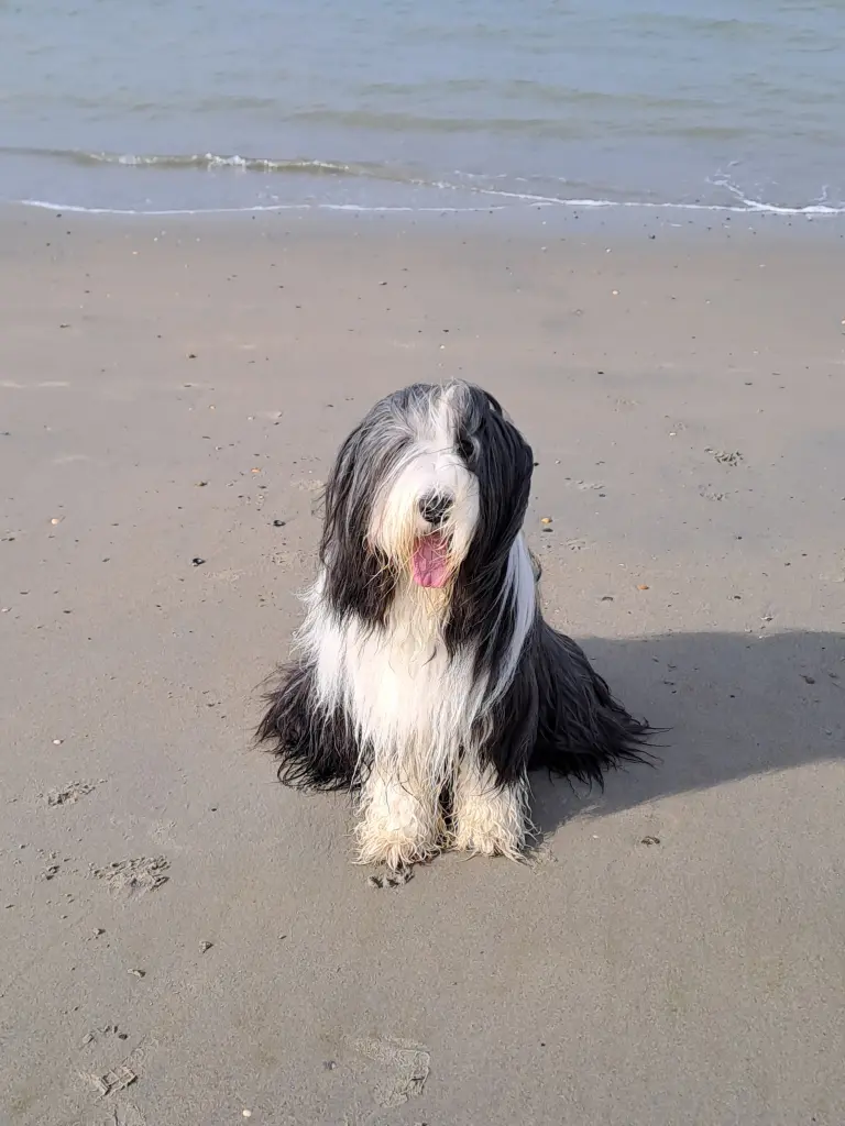 Bild von Ella