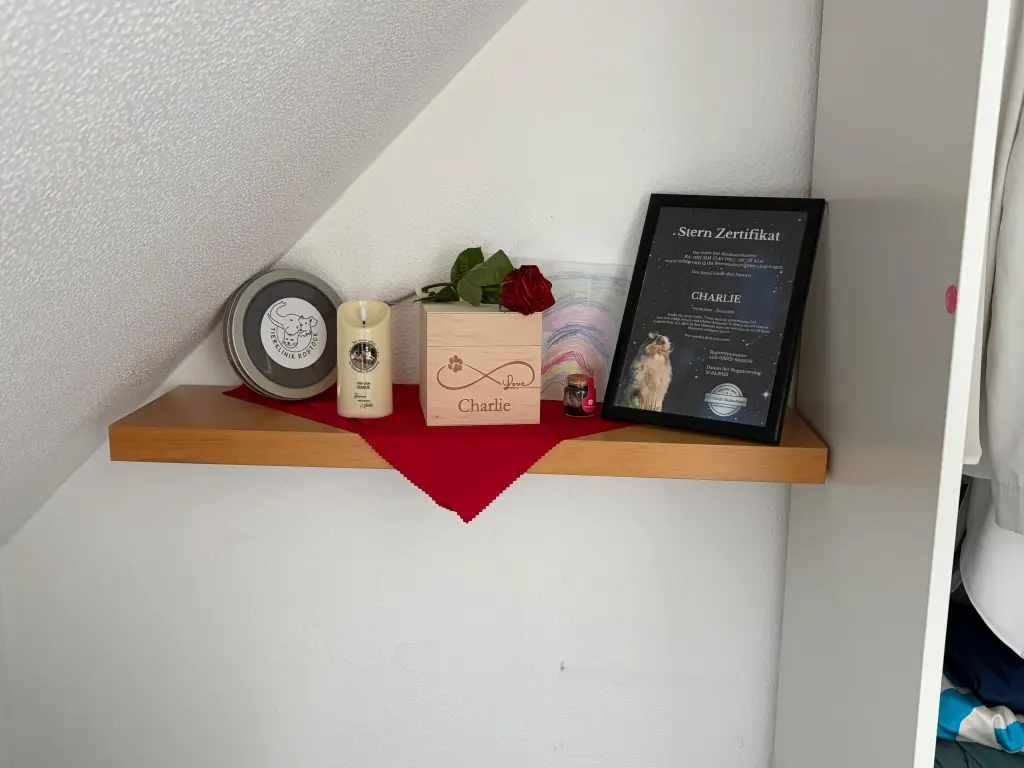 Condolence image of Katja
