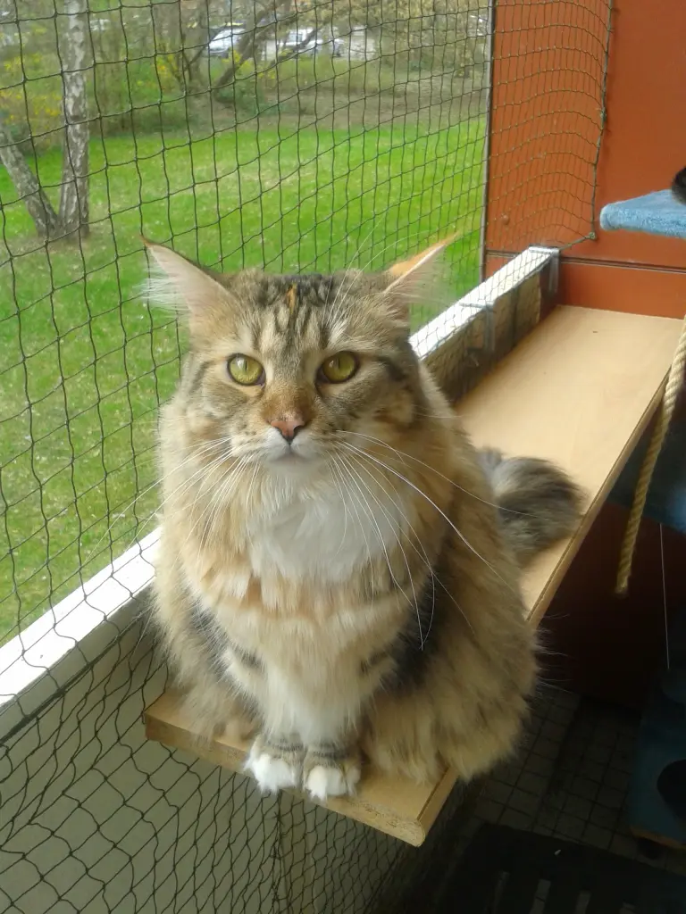 Bild von Lucy