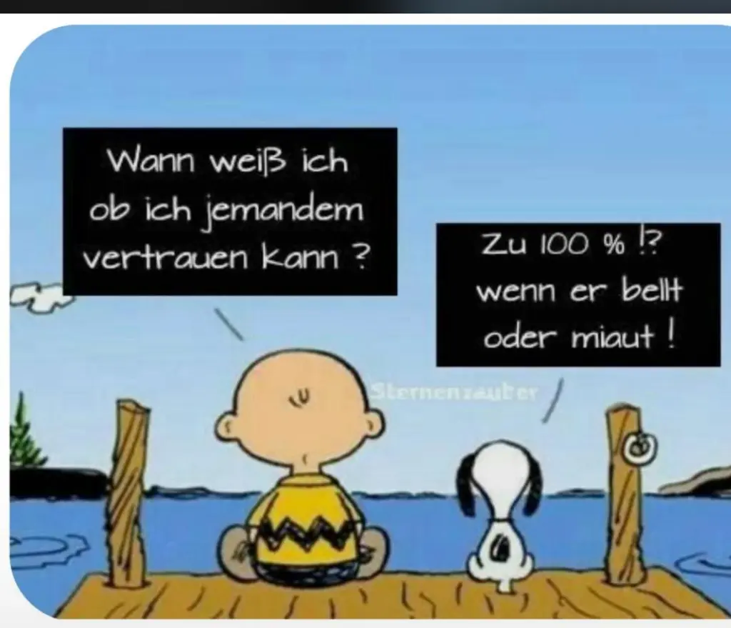 Bild von Ivy