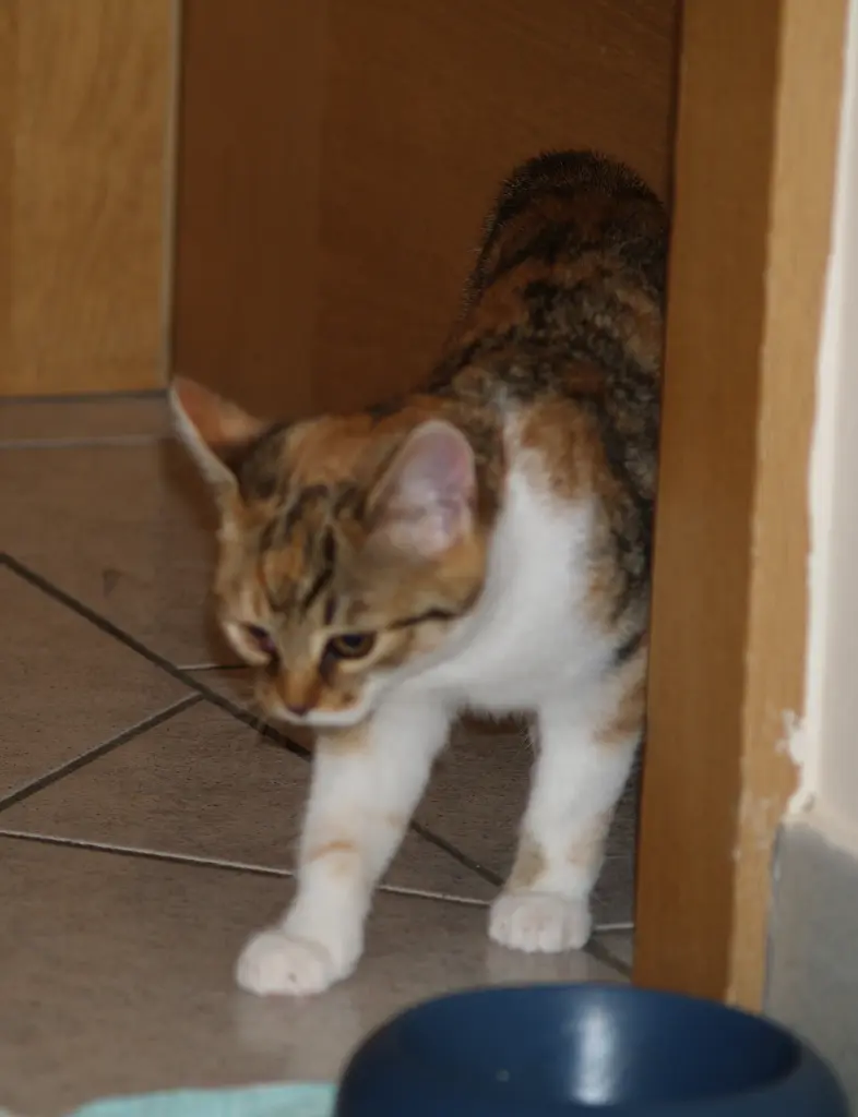 Bild von Gertrud