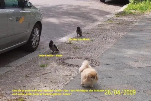 Image from ? meine ,,einmalige,, Sina ?