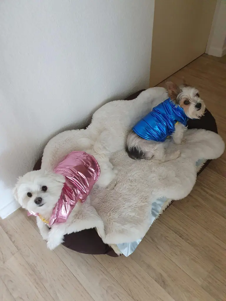 Lilly und Alice