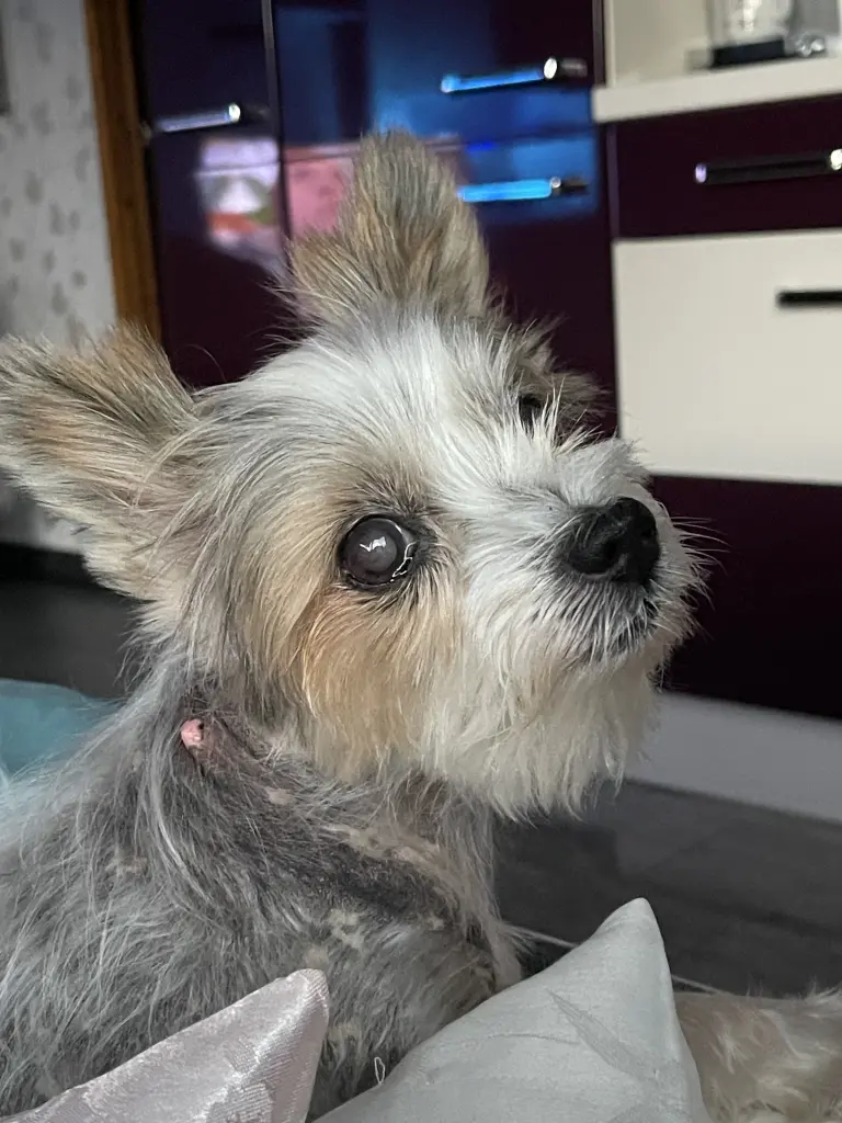 Alice schaut so lieb
