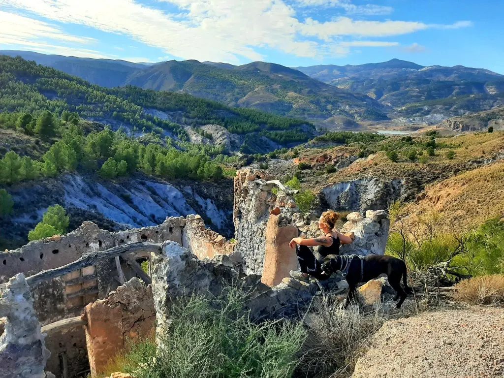 Image from Kaja